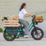Bicicleta Eléctrica Fiido T2 - Imagen 5